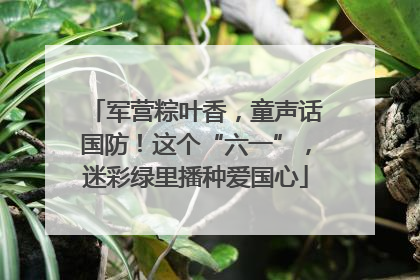 军营粽叶香，童声话国防！这个“六一”，迷彩绿里播种爱国心